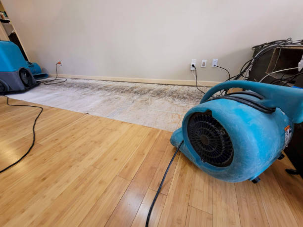 Professional Sewage Cleanup technician working in Mayview, MO